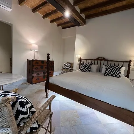 Palazzo Balbo Di Vinadio
